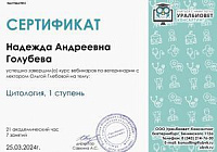 Сертификат Голубева Надежда Андреевна