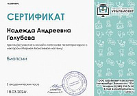 Сертификат Голубева Надежда Андреевна